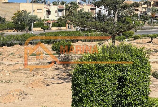 7932061 - صورة العقار 2