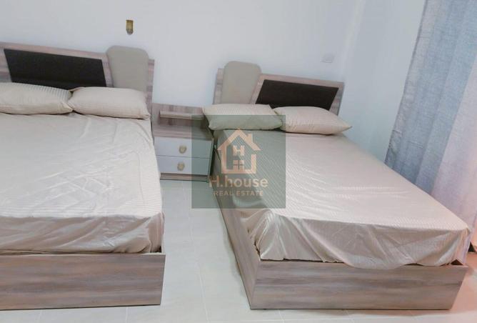 7908398 - Property Image 3
