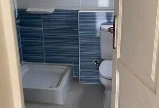 8007978 - Property Image 3