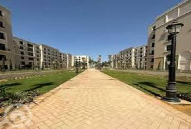 8464588 - Property Image 3