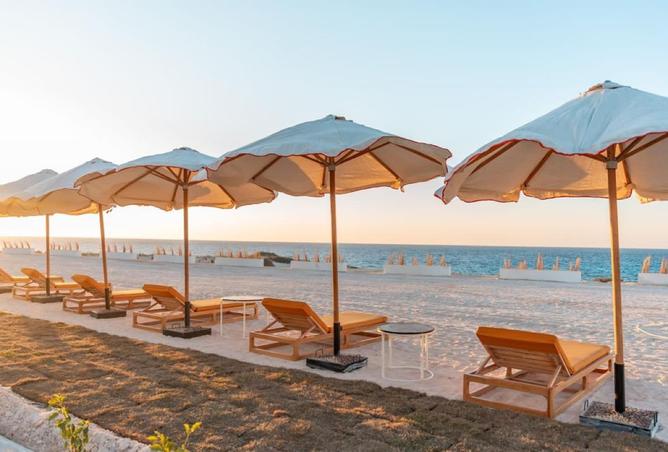 8536102 - Property Image 2