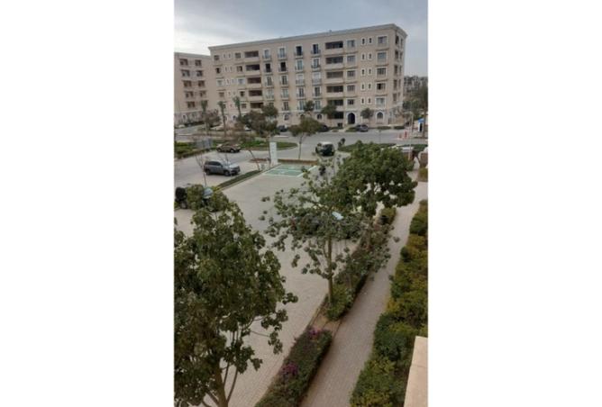 8464256 - Property Image 2