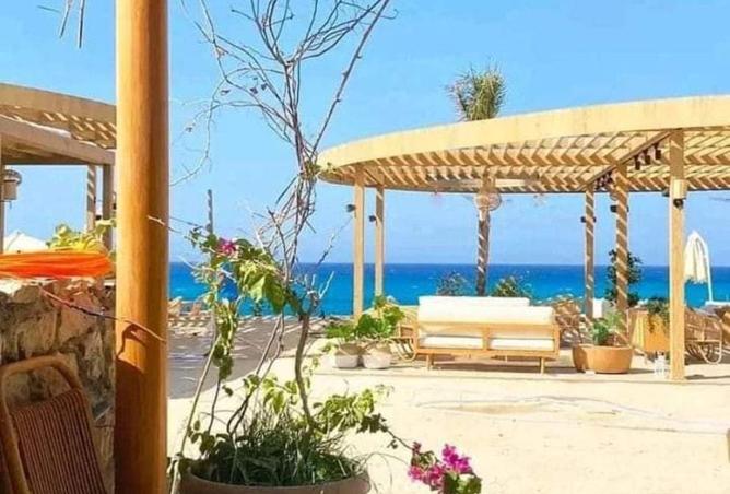 8224484 - Property Image 2