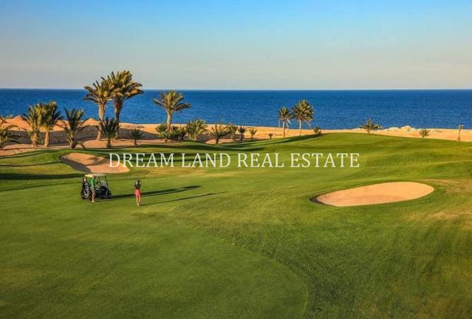 8369573 - Property Image 2