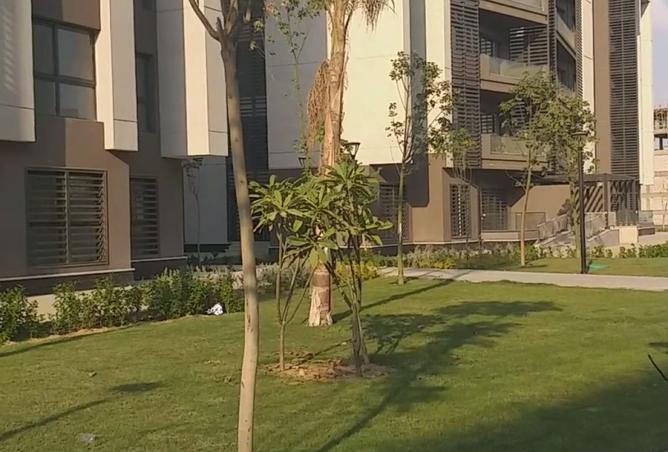 7913899 - Property Image 2