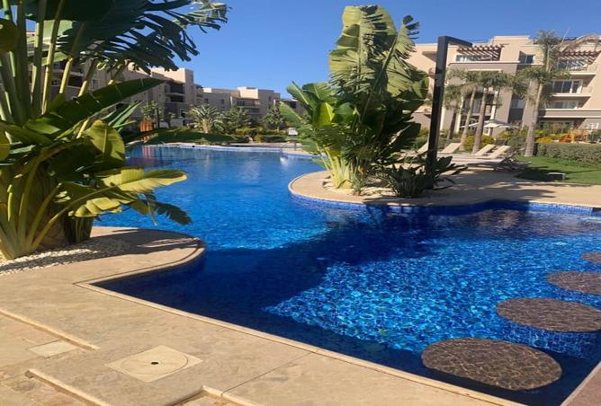 8180447 - Property Image 2