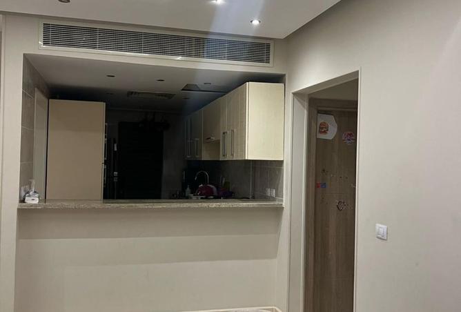 8455343 - Property Image 3