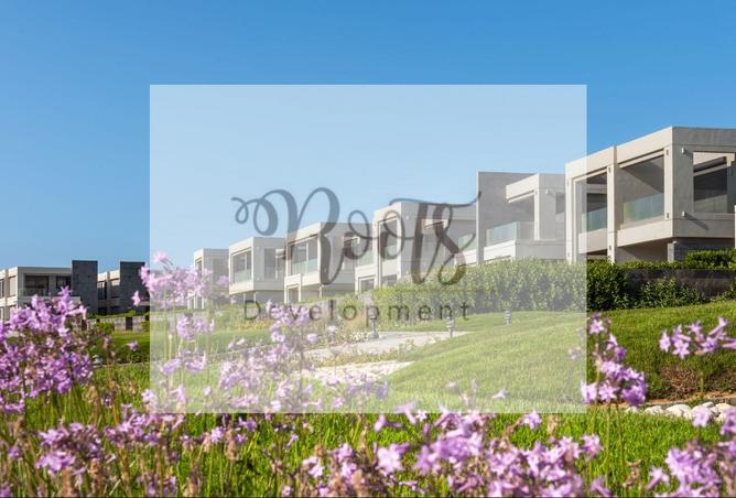8067728 - Property Image 3