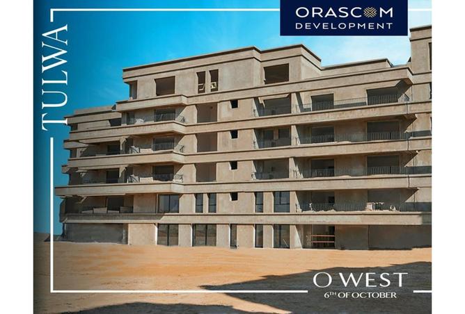 7984960 - Property Image 3