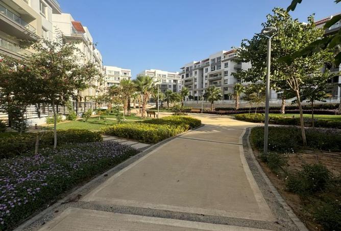 8246072 - صورة العقار 3