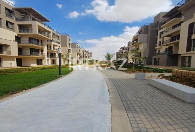 8090046 - Property Image 3
