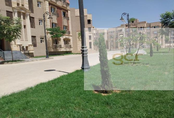 7564535 - Property Image 3