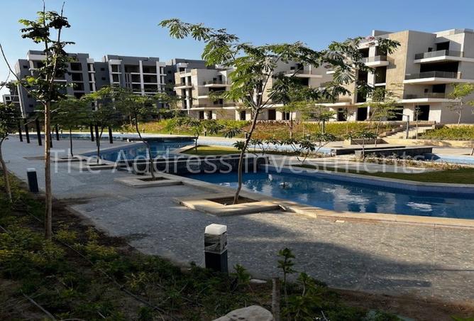 7906496 - Property Image 3