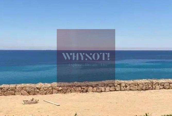 7899392 - الصورة الرئيسية للعقار