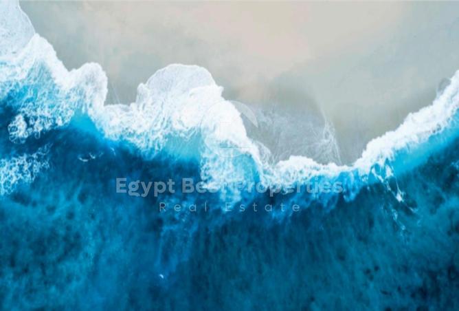 7998742 - Property Image 3