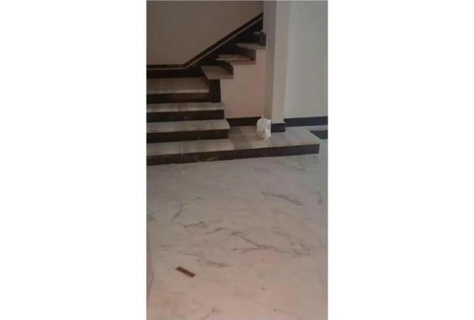 8291587 - صورة العقار 3