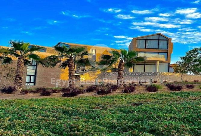 8179973 - Property Image 3