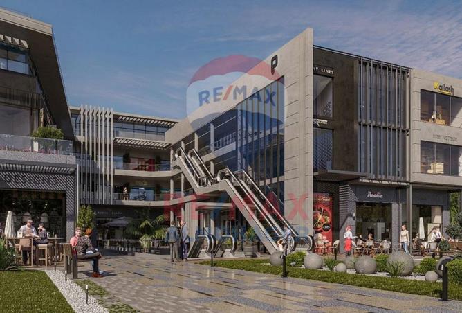 7966252 - Property Image 3