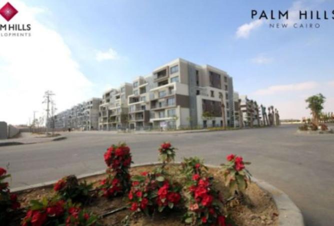 8126700 - Property Image 2