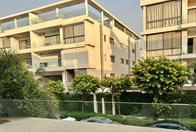 8198891 - صورة العقار 3