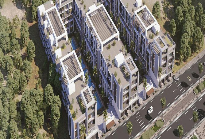 8093703 - Property Image 3