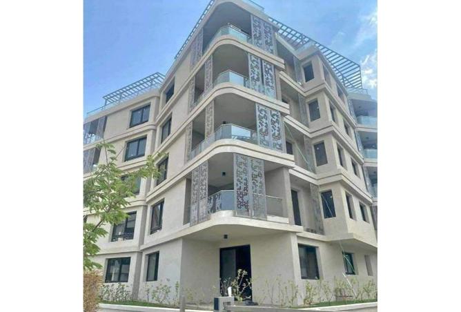 8294846 - Property Image 2