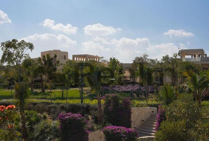 8402671 - صورة العقار 3