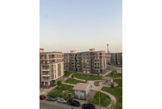 8060831 - Property Image 3