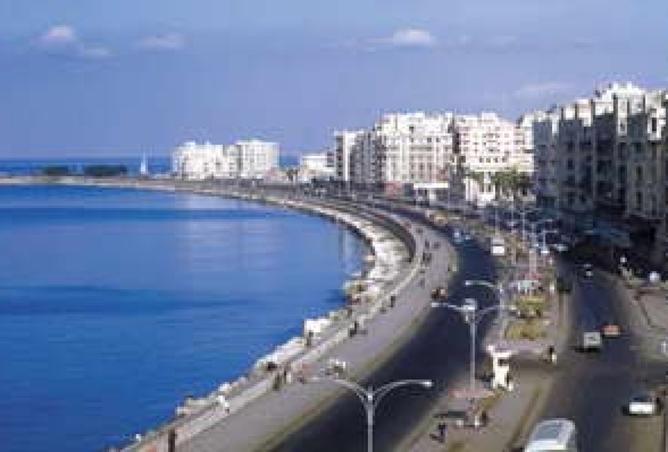 8016904 - صورة العقار 3