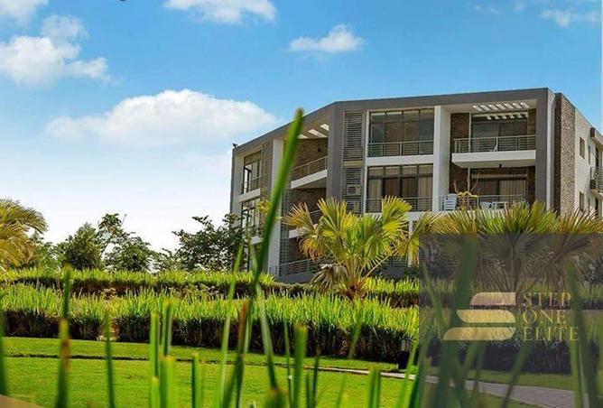 7981325 - Property Image 3