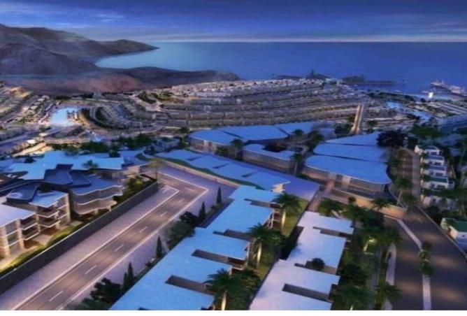 8385795 - صورة العقار 2