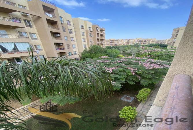 7988052 - صورة العقار 3