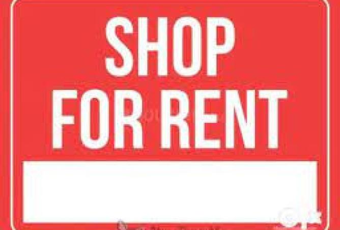 8095306 - Property Image 3