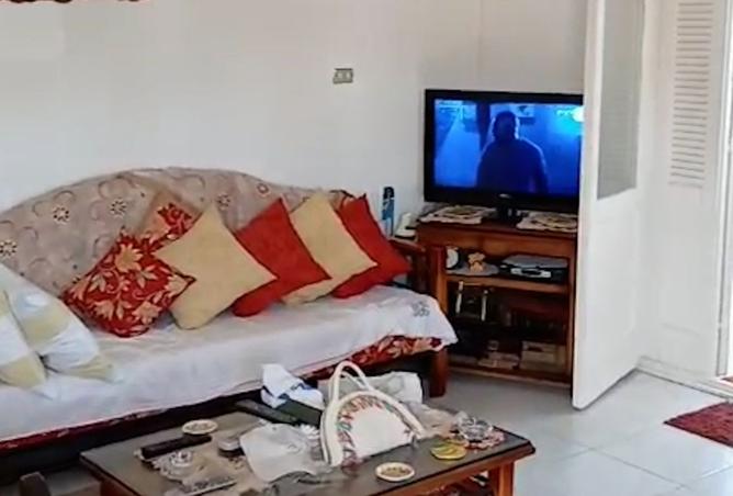 8383462 - Property Image 3