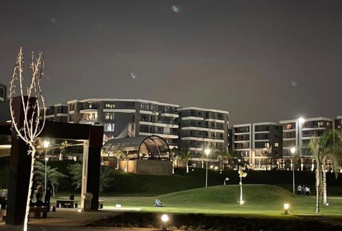 8472532 - Property Image 3