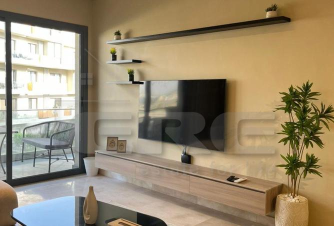 8138303 - Property Image 2