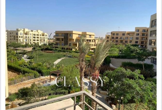 8172649 - صورة العقار 3