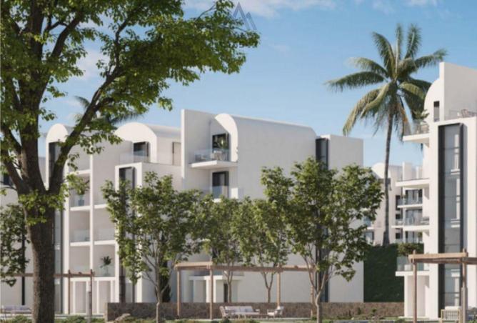 8281534 - Property Image 2