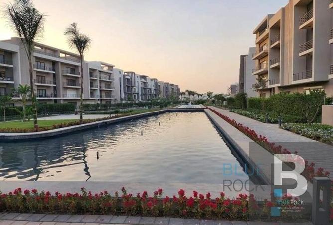 8176781 - Property Image 2