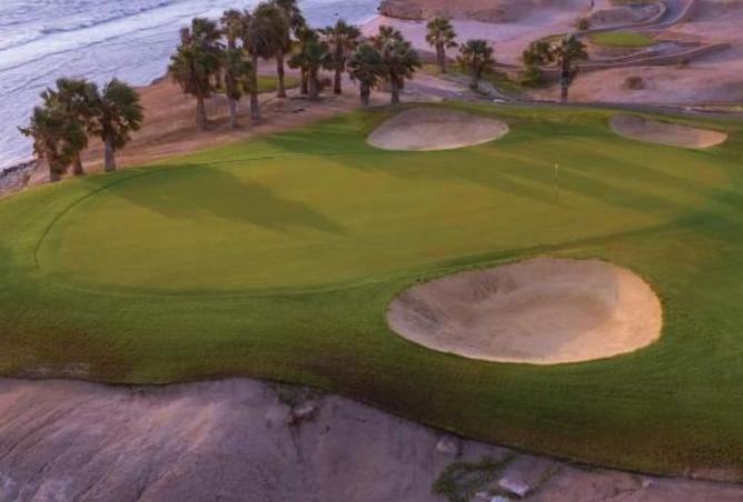 8197233 - Property Image 2