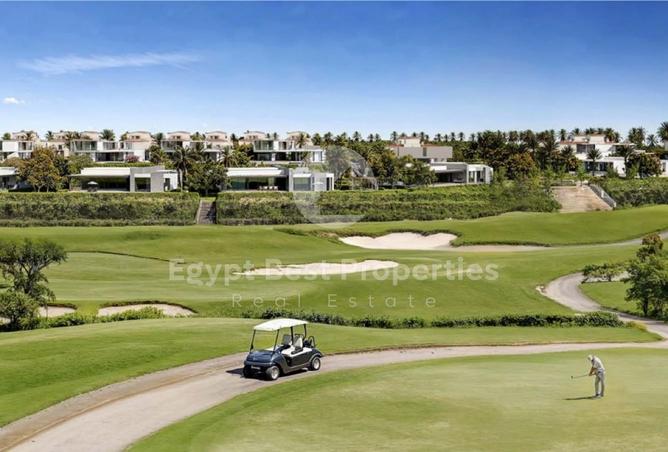 8141612 - Property Image 3