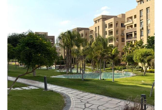 7885663 - Property Image 3