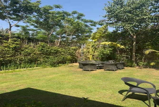 7980689 - Property Image 3
