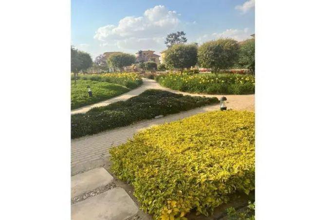 8180299 - الصورة الرئيسية للعقار