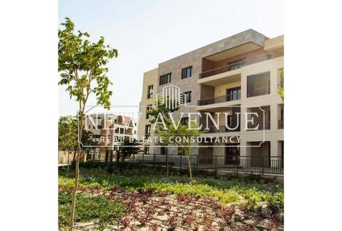 8073131 - Property Image 3