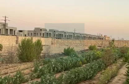 قطعة أرض - استوديو للبيع في شارع حوض 1 - الحزام الاخضر - مدينة 6 أكتوبر - الجيزة