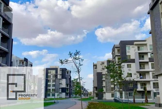 8258076 - Property Image 2