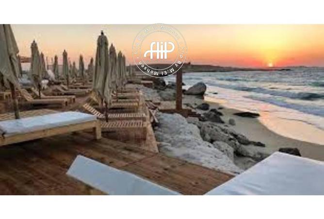 8328824 - Property Image 3