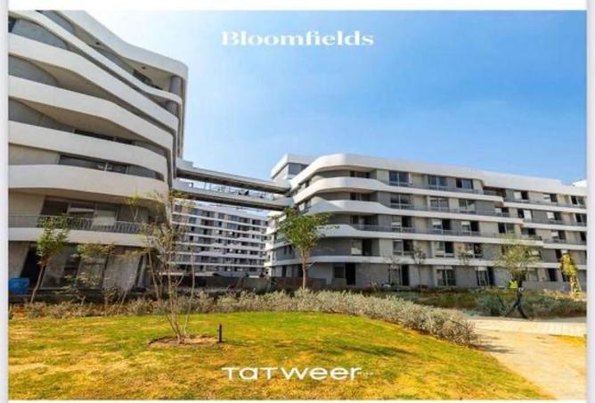 8559877 - Property Image 2