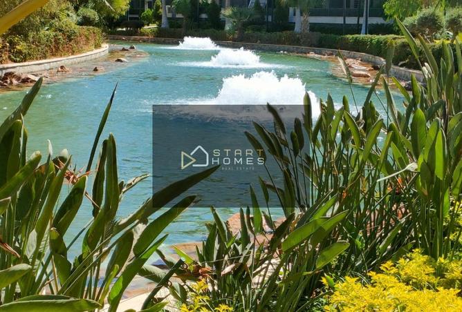 8279594 - Property Image 3